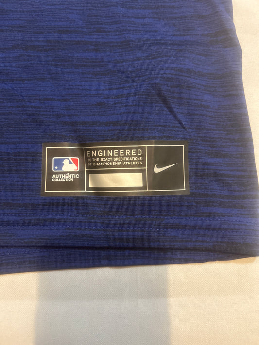 Los Angeles Dodgers MLB Dri-Fit Men Tshirts