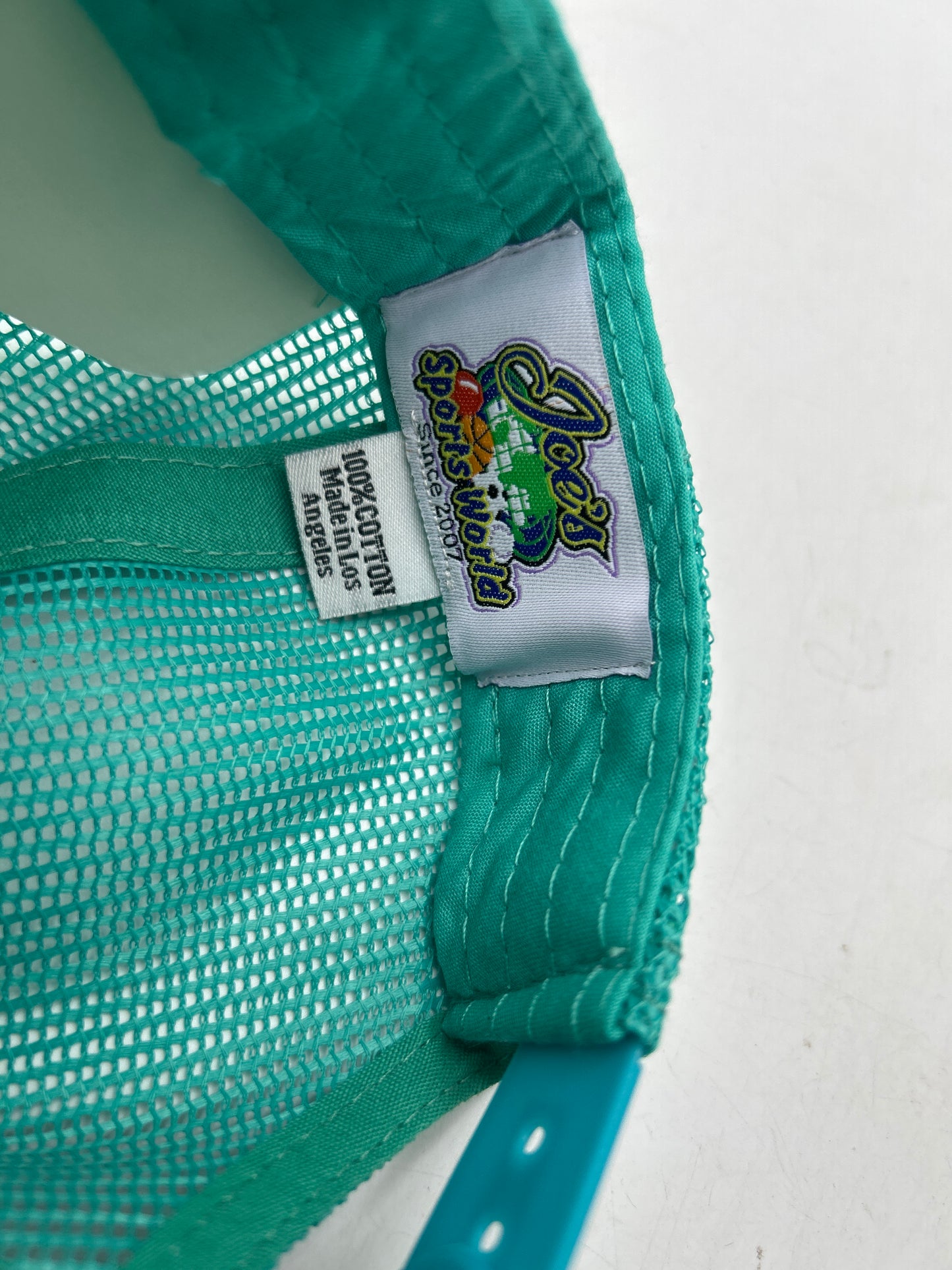 Los Angeles JSW Private Label Mint Suede A-Frame Snapback Hat