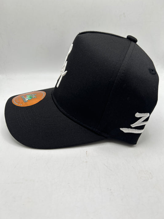 Los Angeles JSW Private Label A-Frame Snapback Black Hat