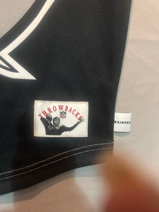 Las Vegas Raiders NFL Jumbotron 3.0 Men Mesh V-Neck