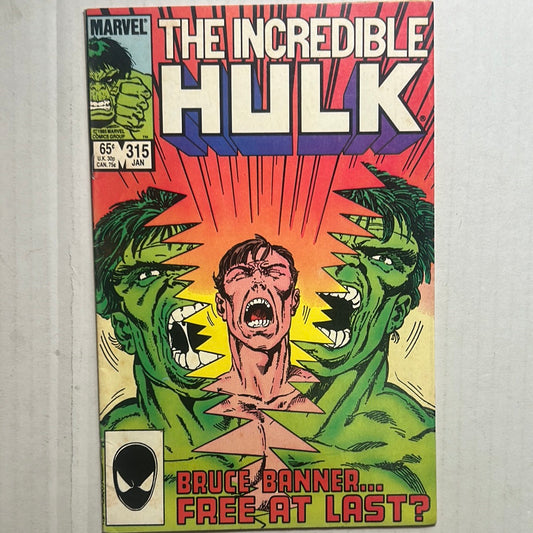 The cover of 'The Incredible Hulk' comic book featuring the character Bruce Banner, issue number 315, with a colorful and dynamic illustration.