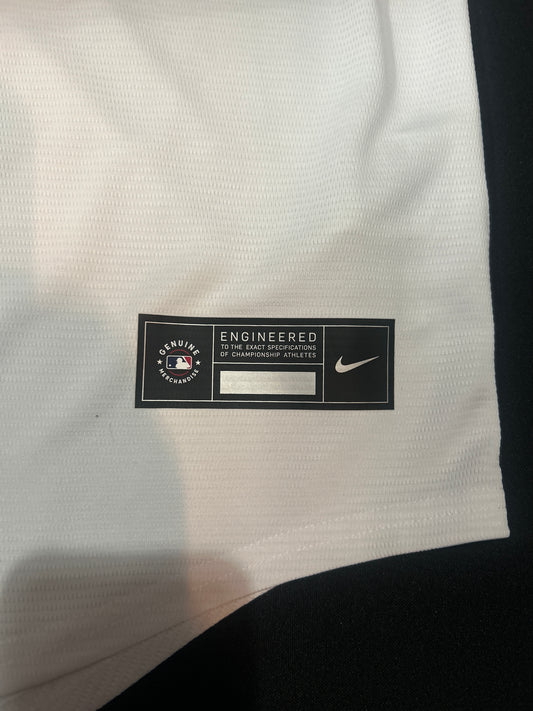 Los Angeles Dodgers MLB Nike #17 Ohtani Genuine Merchandise Authentic Replica WORLD SERIES CHAMPIONS 2024 Men Jersey