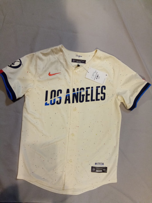 Los Angeles Dodgers MLB Genuine Merchandise Nike City Connect Youth Jersey