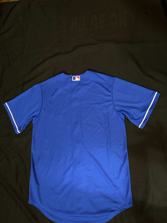 Los Angeles Dodgers Nike Royal Blue Jersey for Men