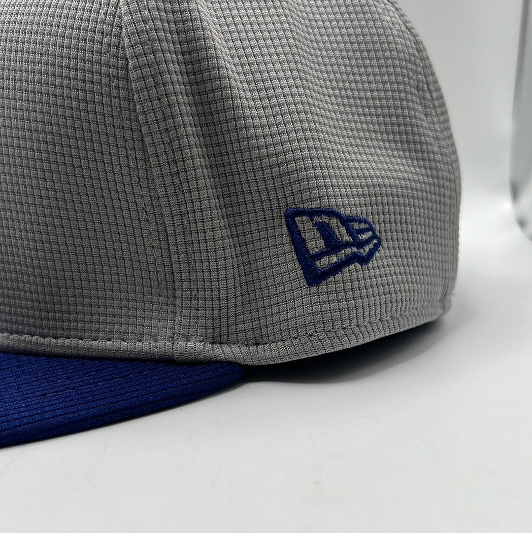 Los Angeles Dodgers MLB 2024 Batting  Practice New Era 59Fifty Grey Fitted Hat