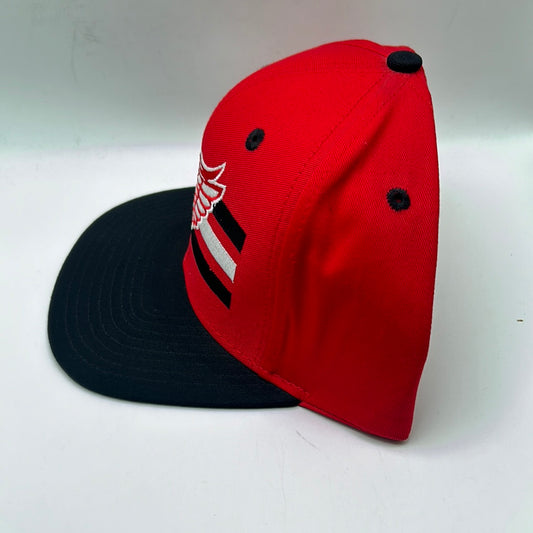 Detroit Red Wings NHL Vintage Hockey Retro Snapback Hat