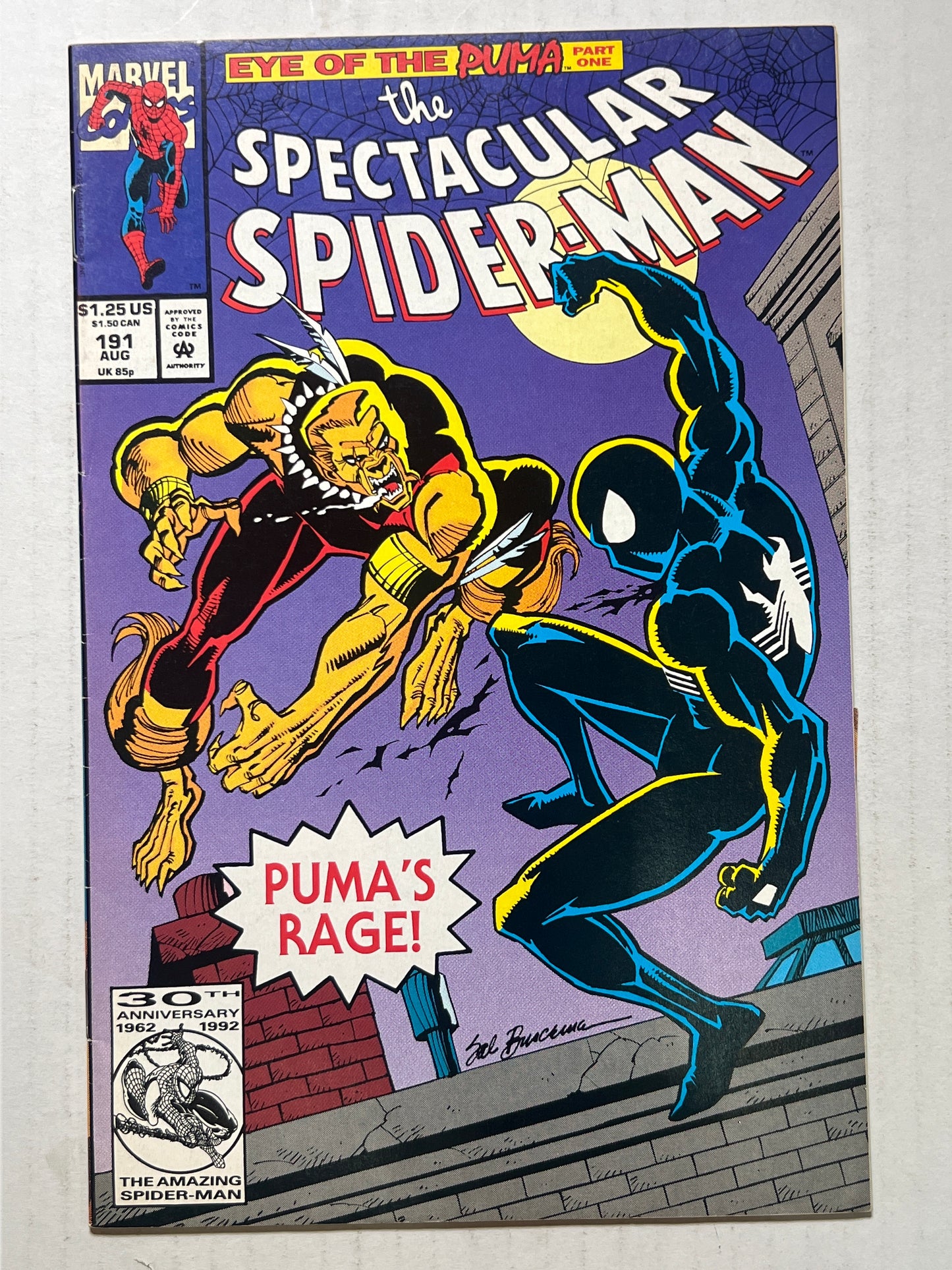 The Spectacular Spider-Man by Marvel Comics Group “Puma’s Rage” #191 Comic Book