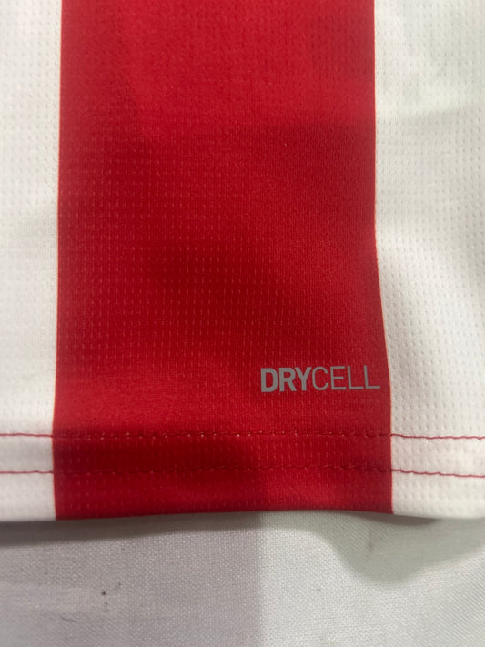 Chivas del Guadalajara Puma 2023 Soccer Man Jersey