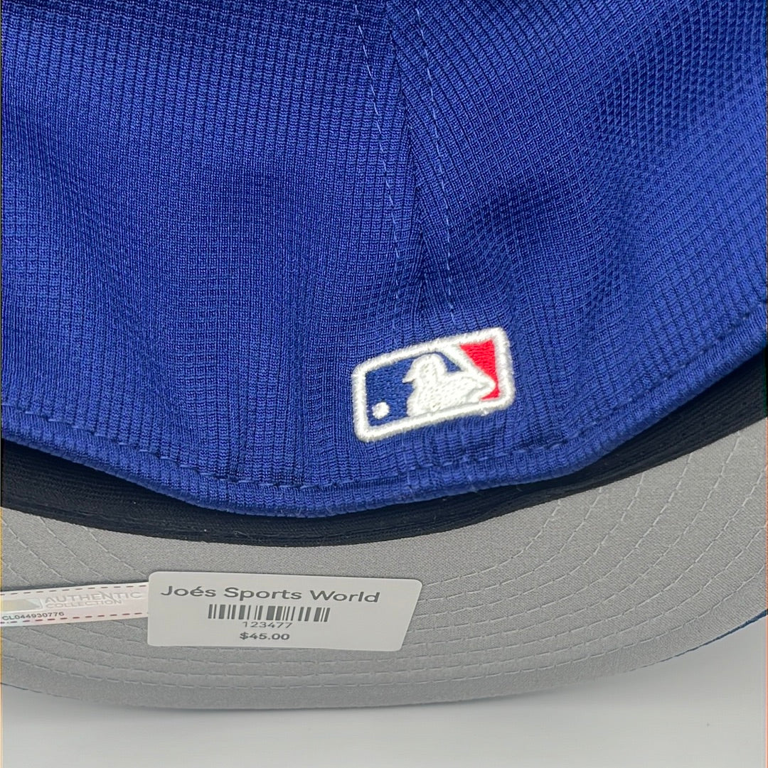 Los Angeles Dodgers MLB 2024 Batting  Practice New Era 59Fifty Royal Blue Fitted Hat