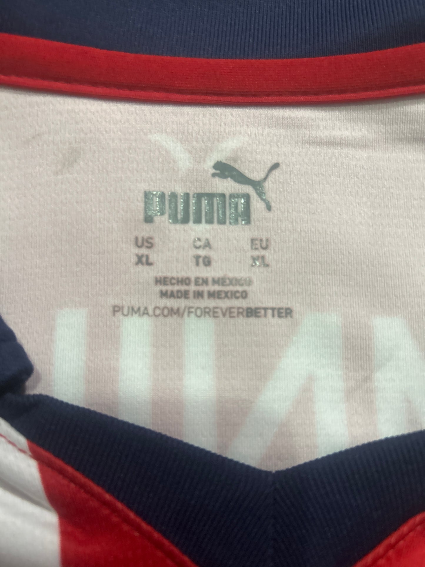 Chivas del Guadalajara Puma 2023 Soccer Man Jersey
