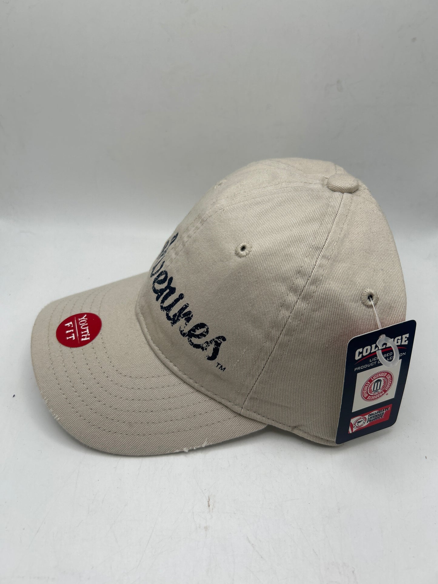 Michigan Wolverines Signatures Vintage College Youth Adjustable Hat