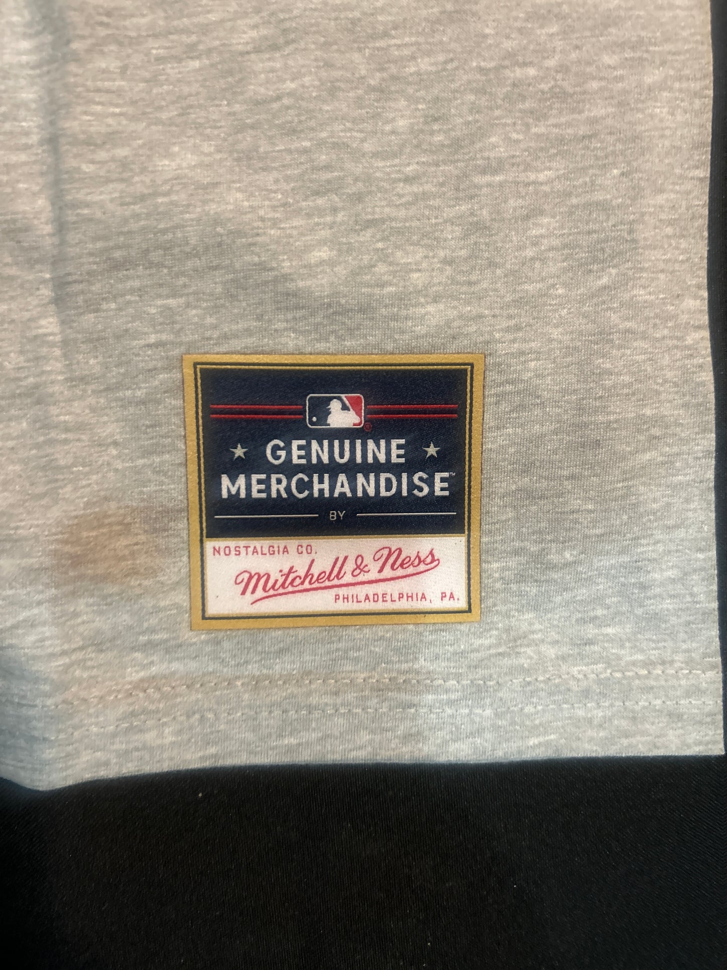 Los Angeles Dodgers MLB Mitchell & Ness World Series Champions 2024 Grey Heather Men T-Shirt