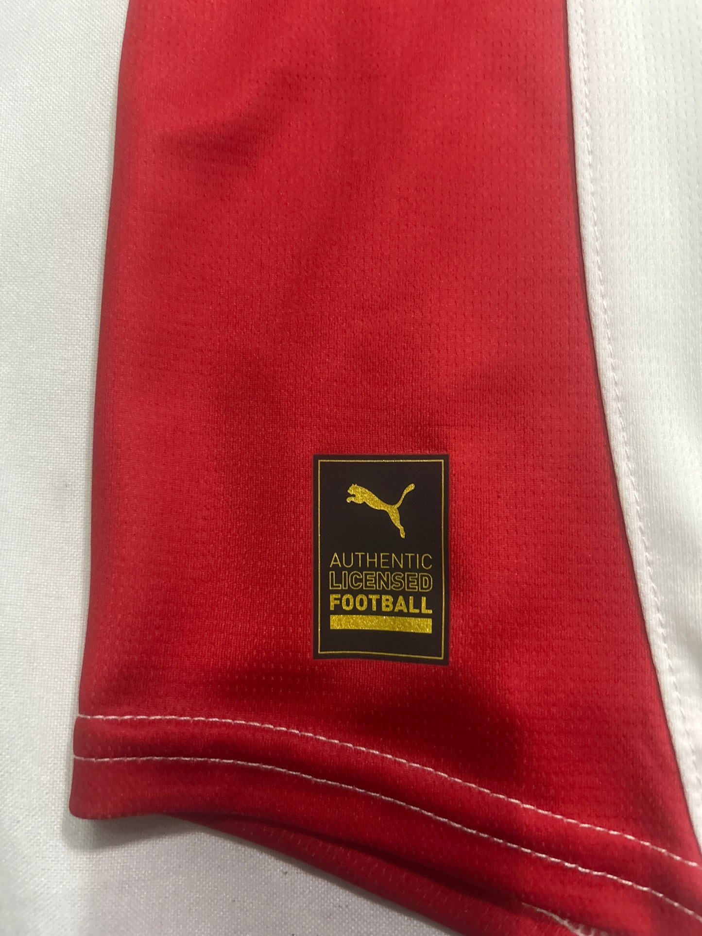 Chivas Del Guadalajara Puma 2024  Soccer Men Jersey