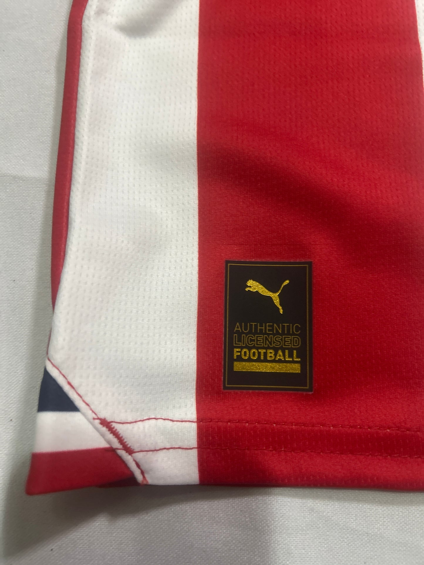 Chivas del Guadalajara Puma 2023 Soccer Man Jersey