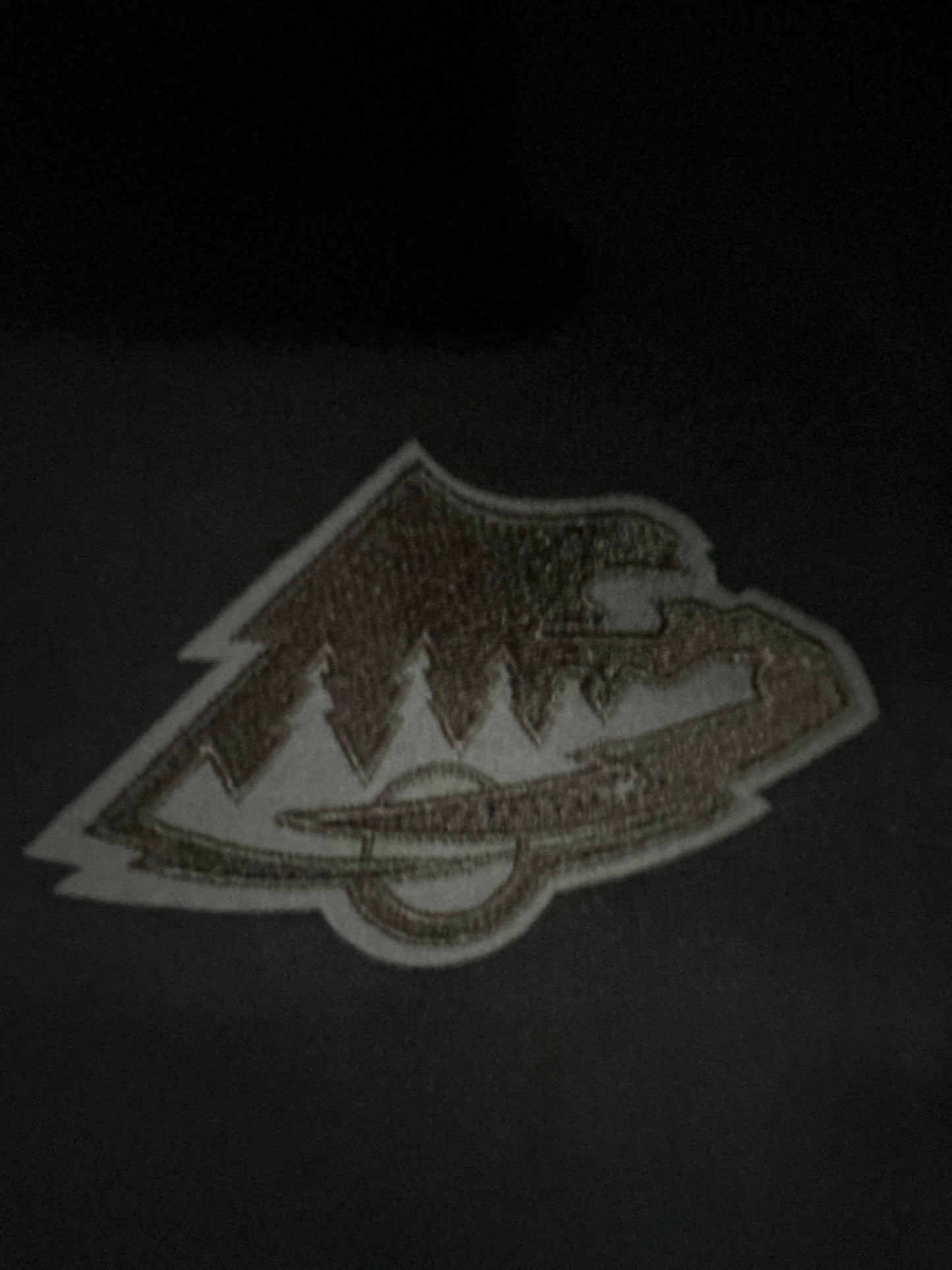 Minnesota Wild NHL Men Sweatpants