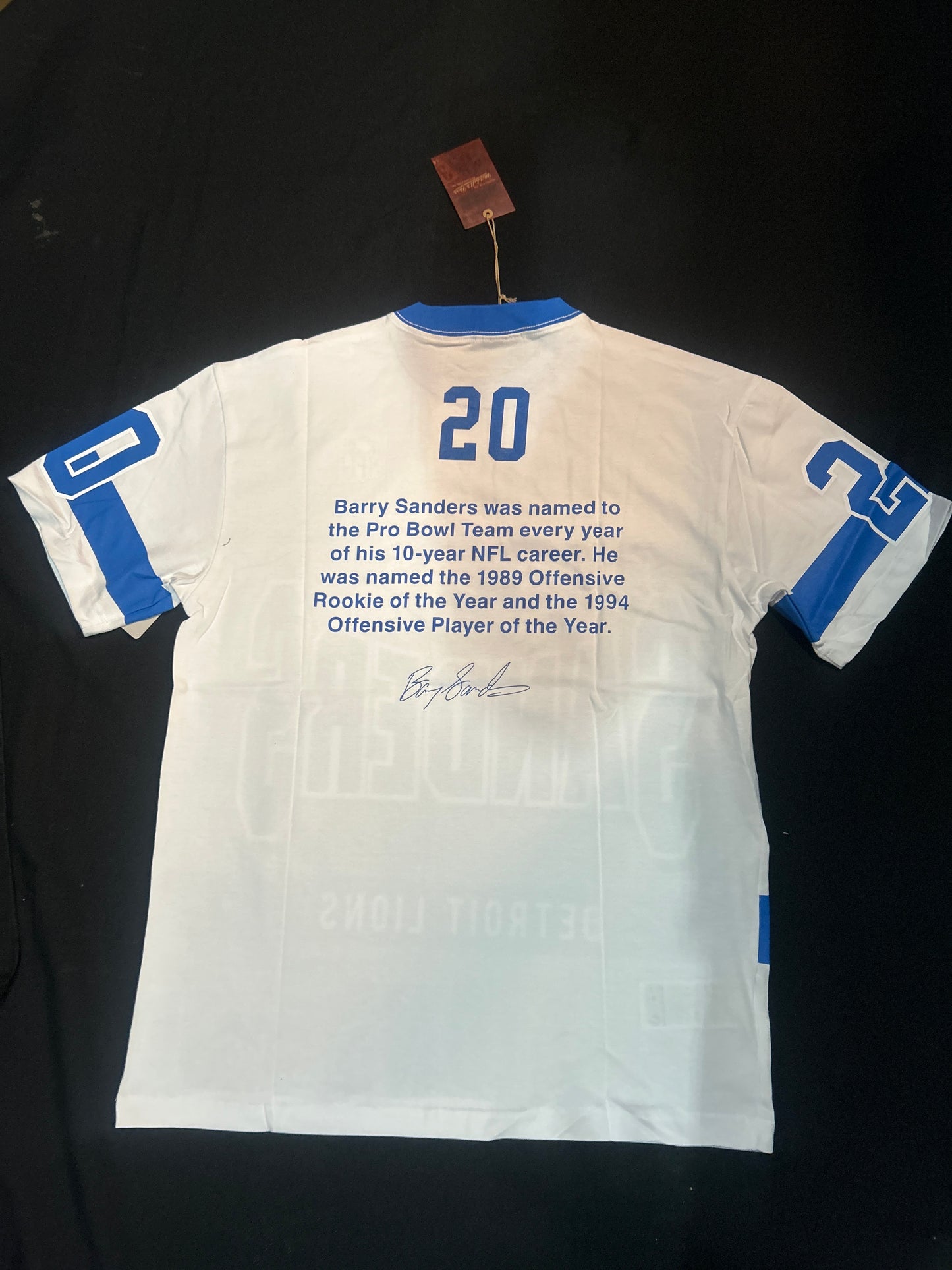 Detroit Lions NFL Mitchell & Ness #20 Barry Sanders The Original Premium SS TT Vintage Logo T-Shirt