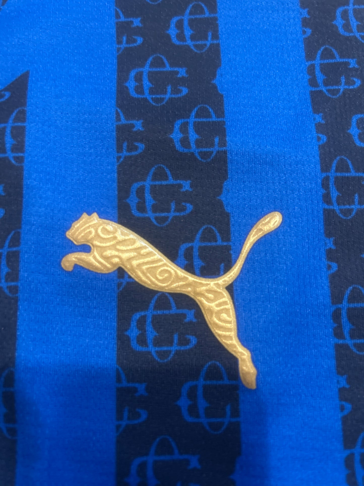 Chivas Del Guadalajara Pumas DryCell 2025/2026 Soccer Men Jersey