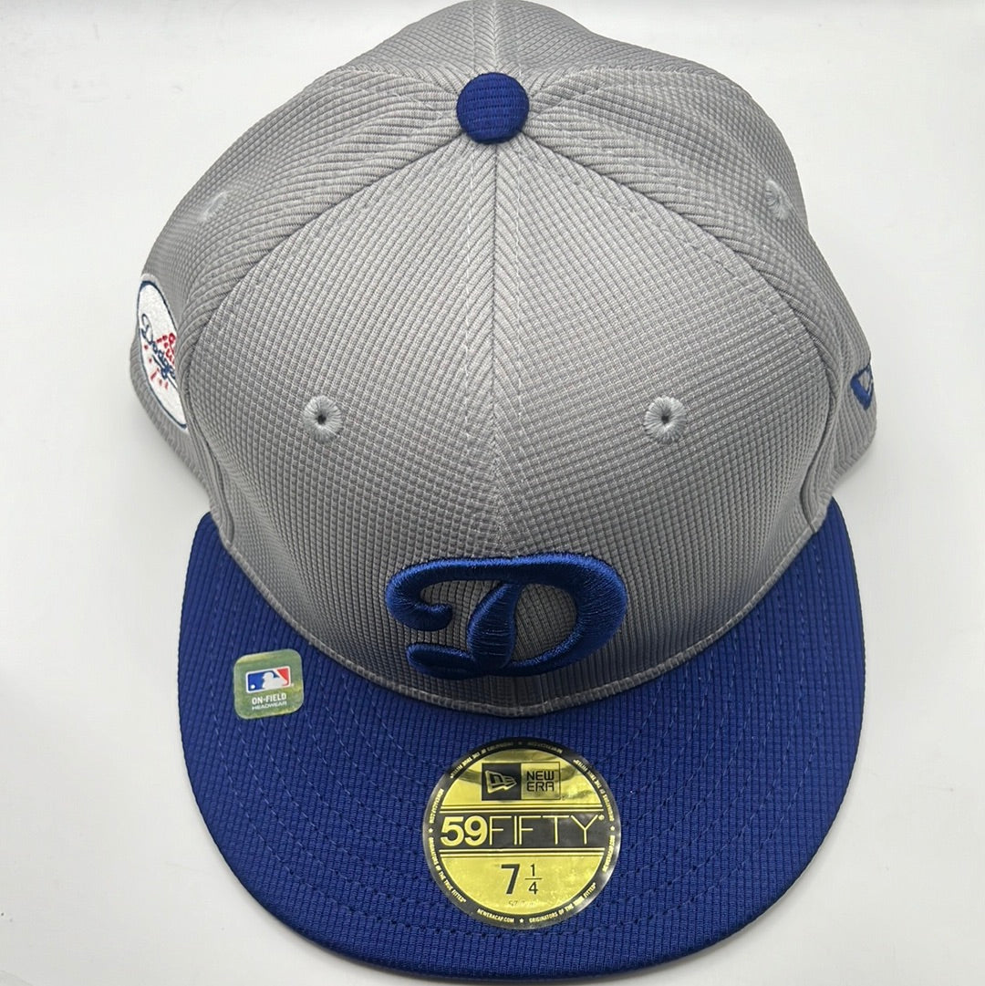 Los Angeles Dodgers MLB 2024 Batting  Practice New Era 59Fifty Grey Fitted Hat