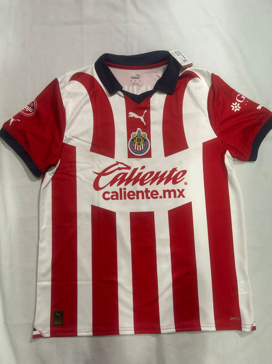 Chivas del Guadalajara Puma 2023 Soccer Man Jersey