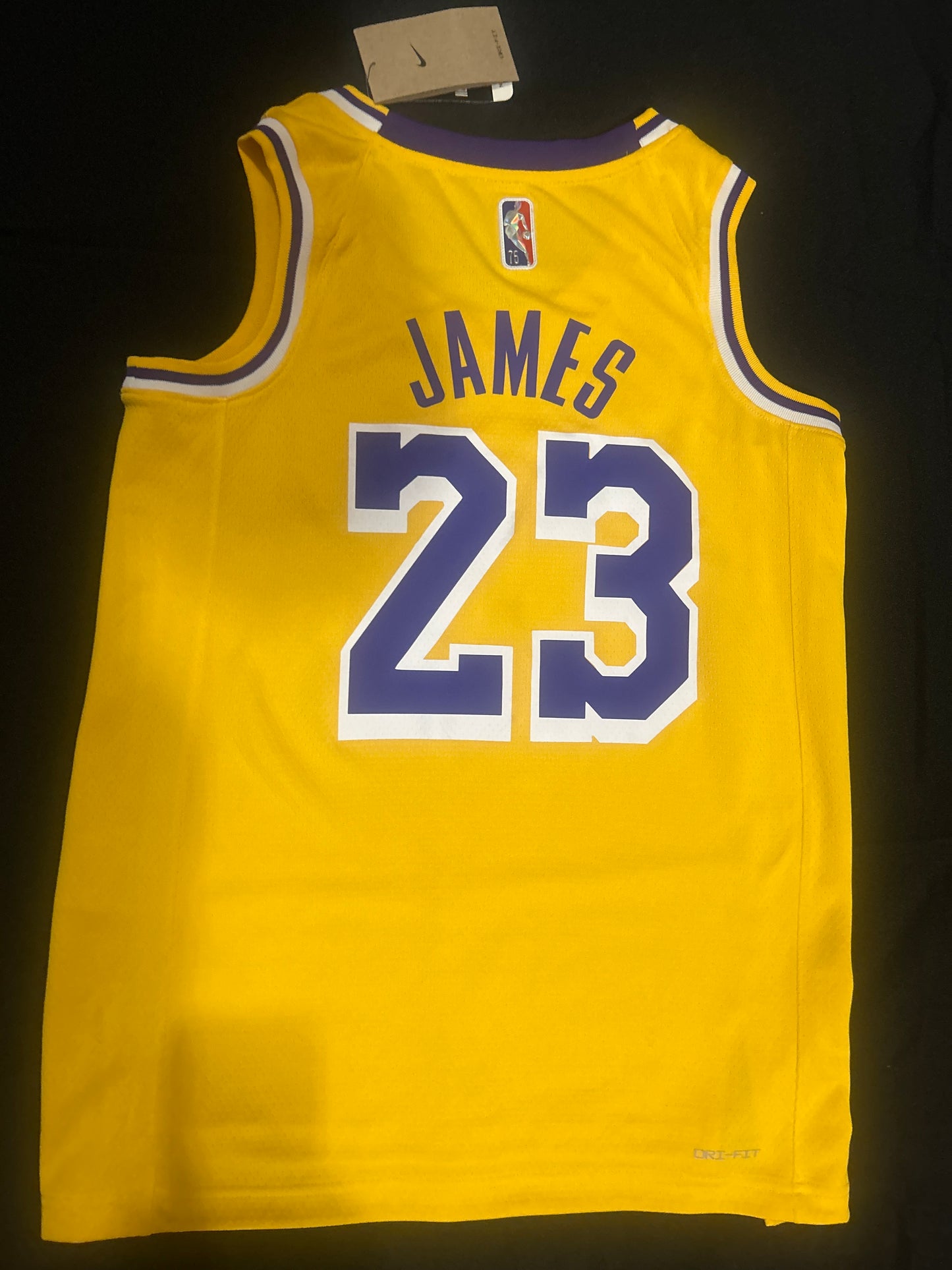 Los Angeles Lakers NBA Nike #23 LEBRON JAMES Dri-Fit Swingman Icon Edition Jersey