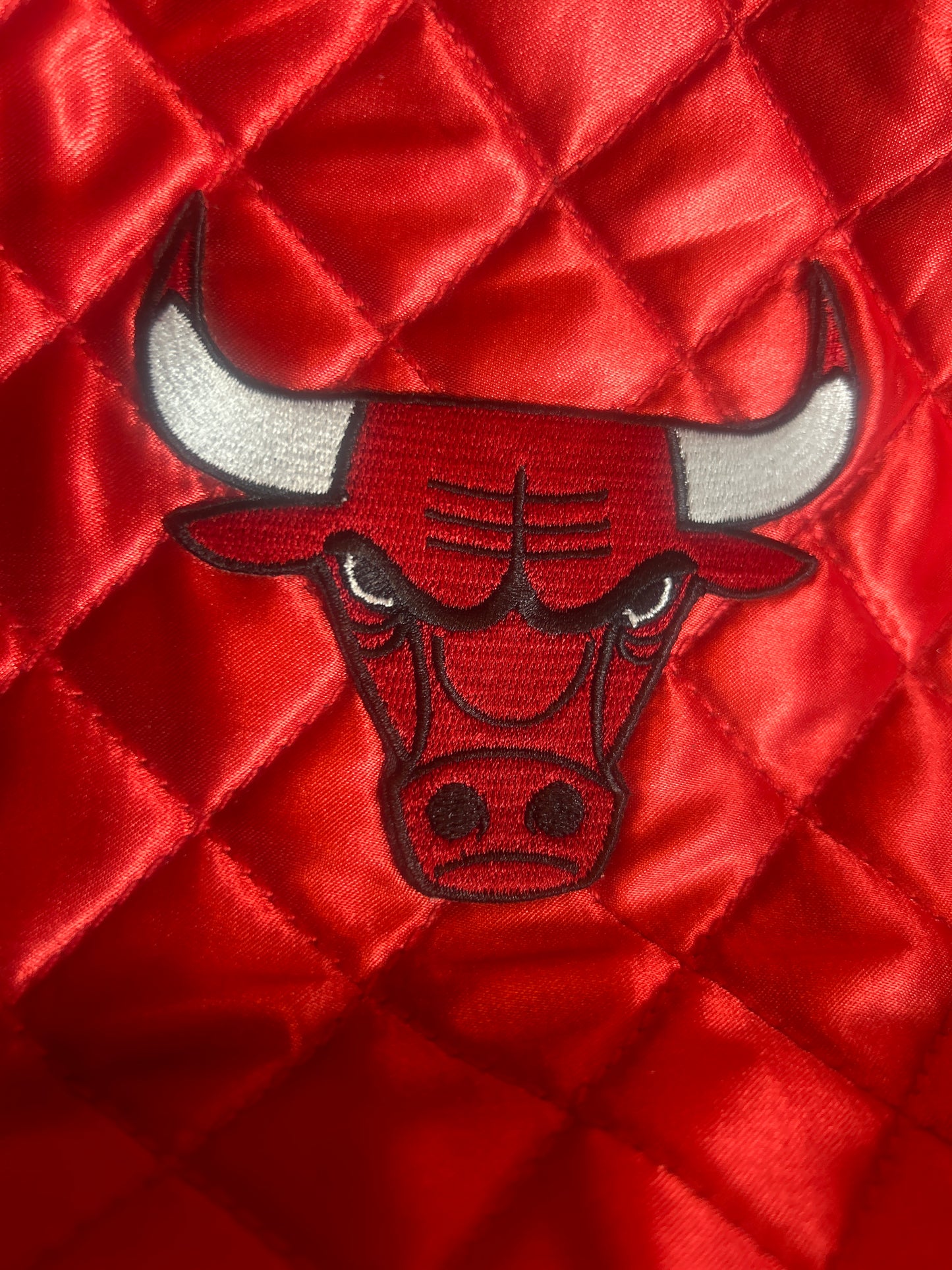 Chicago Bulls NFL Profanity Handbag