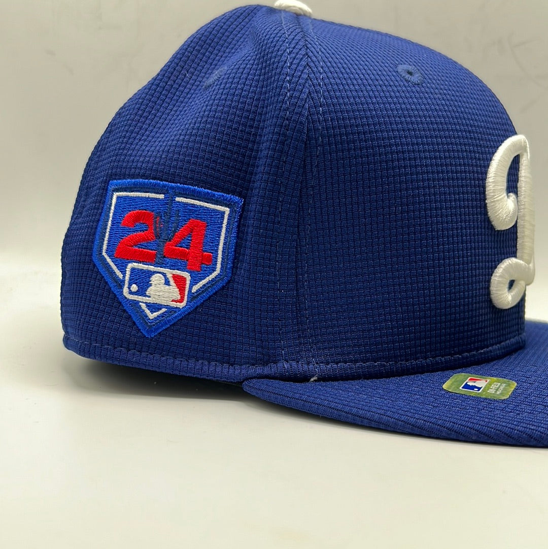 Los Angeles Dodgers MLB New Era 59Fifty Spring Training 2024 Fitted Hat