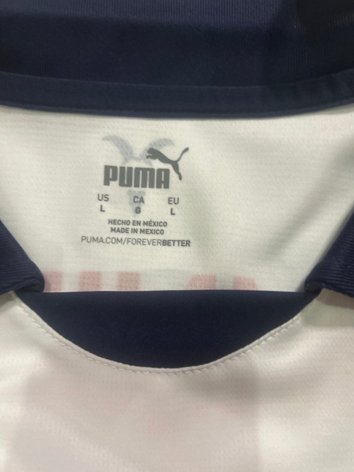 Chivas Del Guadalajara Puma 2024  Soccer Men Jersey