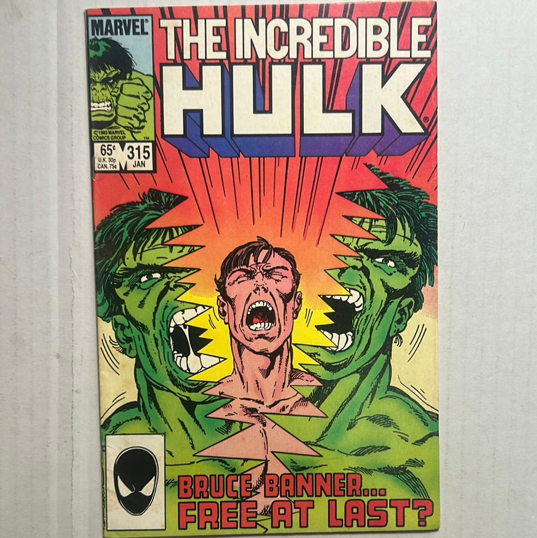 The cover of 'The Incredible Hulk' comic book featuring the character Bruce Banner, issue number 315, with a colorful and dynamic illustration.