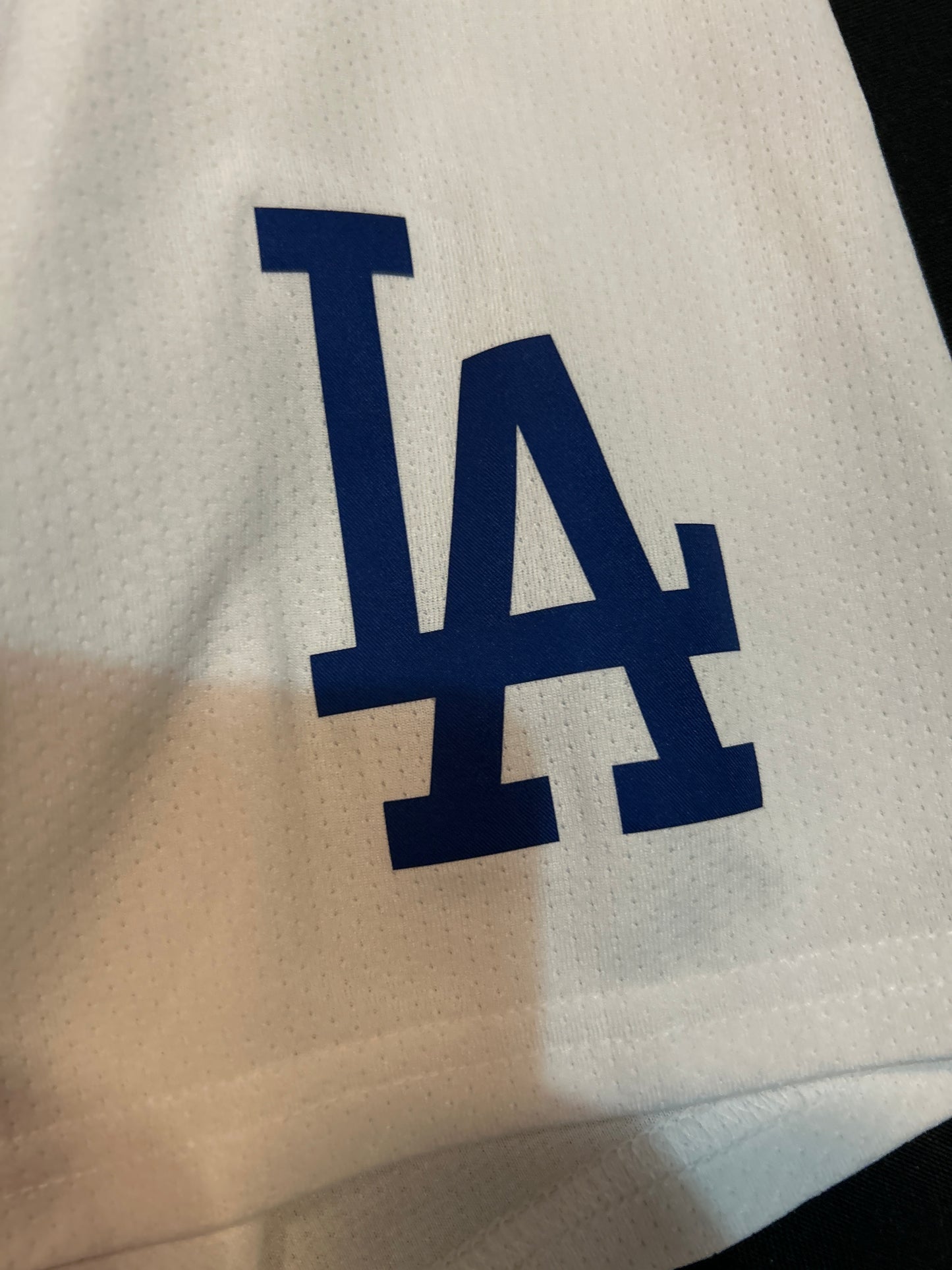 Los Angeles Dodgers MLB Genuine Merchandise Nike #17 Ohtani Authentic Replica 2024 Men Jersey