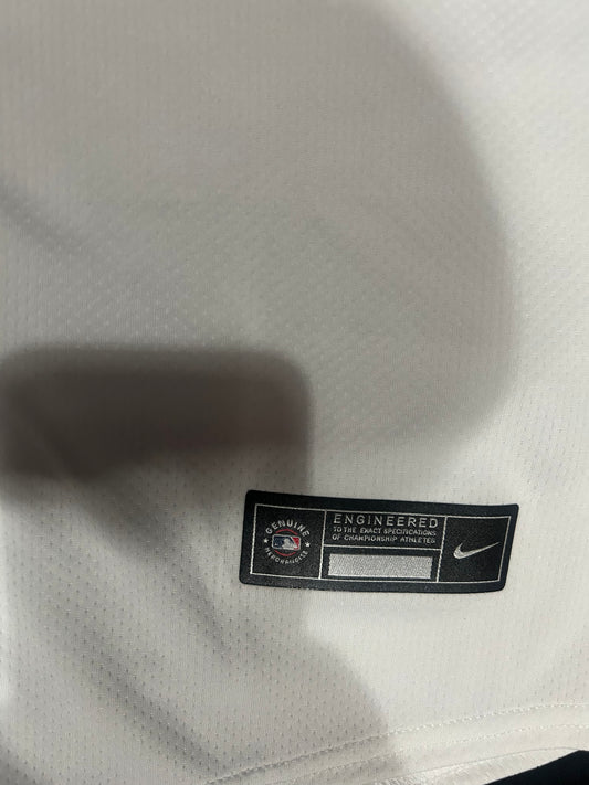 Los Angeles Dodgers Nike MLB WORLD SERIES CHAMPIONS 2024 Genuine Merchandise Authentic Replica White YOUTH Jersey