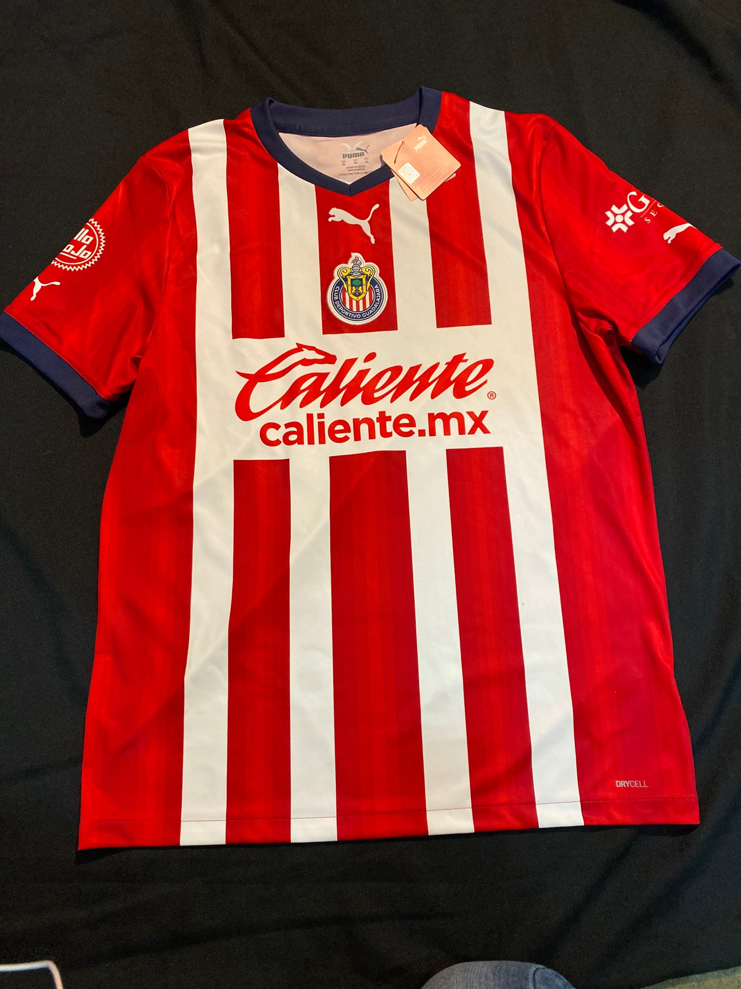 Puma Authentic Chivas del Guadalajara Soccer Man Jersey