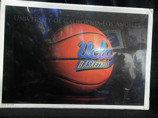 University of California Los Angeles UCLA Bruins Basketball Vintage University Poster